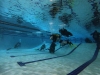 DCIM\100GOPRO\GOPR1108.JPG