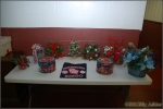 DSC_09301-t.jpg