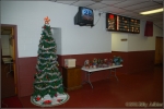 DSC_09341-t.jpg